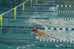 星空体育app登录入口-全国游泳冠军赛新星频出成绩突破预期,全国游泳冠军赛2021成绩 第3张 星空体育app登录入口-全国游泳冠军赛新星频出成绩突破预期,全国游泳冠军赛2021成绩 第3张